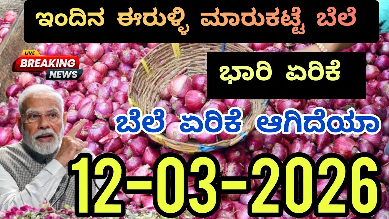 ಇಂದಿನ ಈರುಳ್ಳಿ ಮಾರುಕಟ್ಟೆ ಬೆಲೆ | 12-03-2026 | #onion #onionrate #onionprice #todayonion #todaymarket 