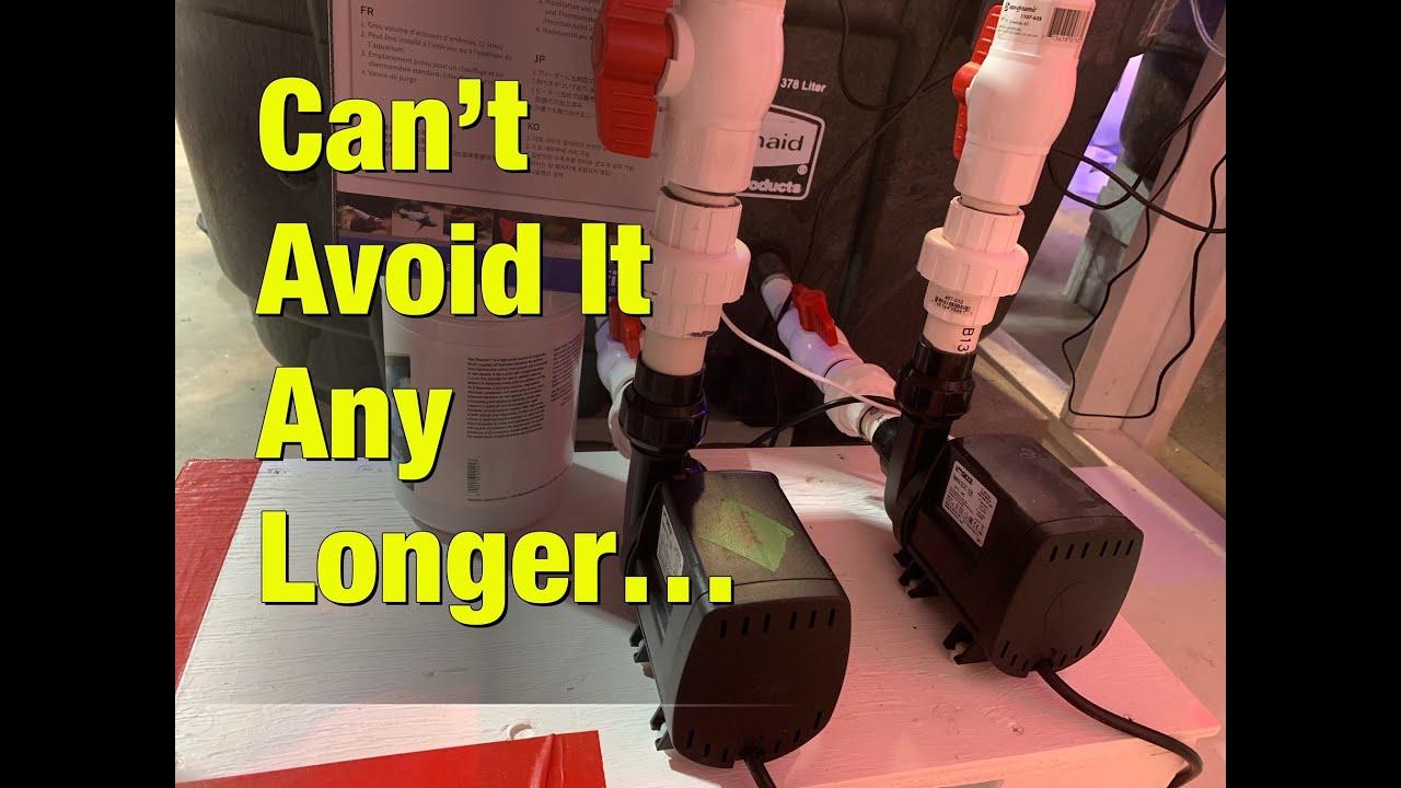 Finally Had to Do It: Sicce SDC 9.0 Return Pump Maintenance