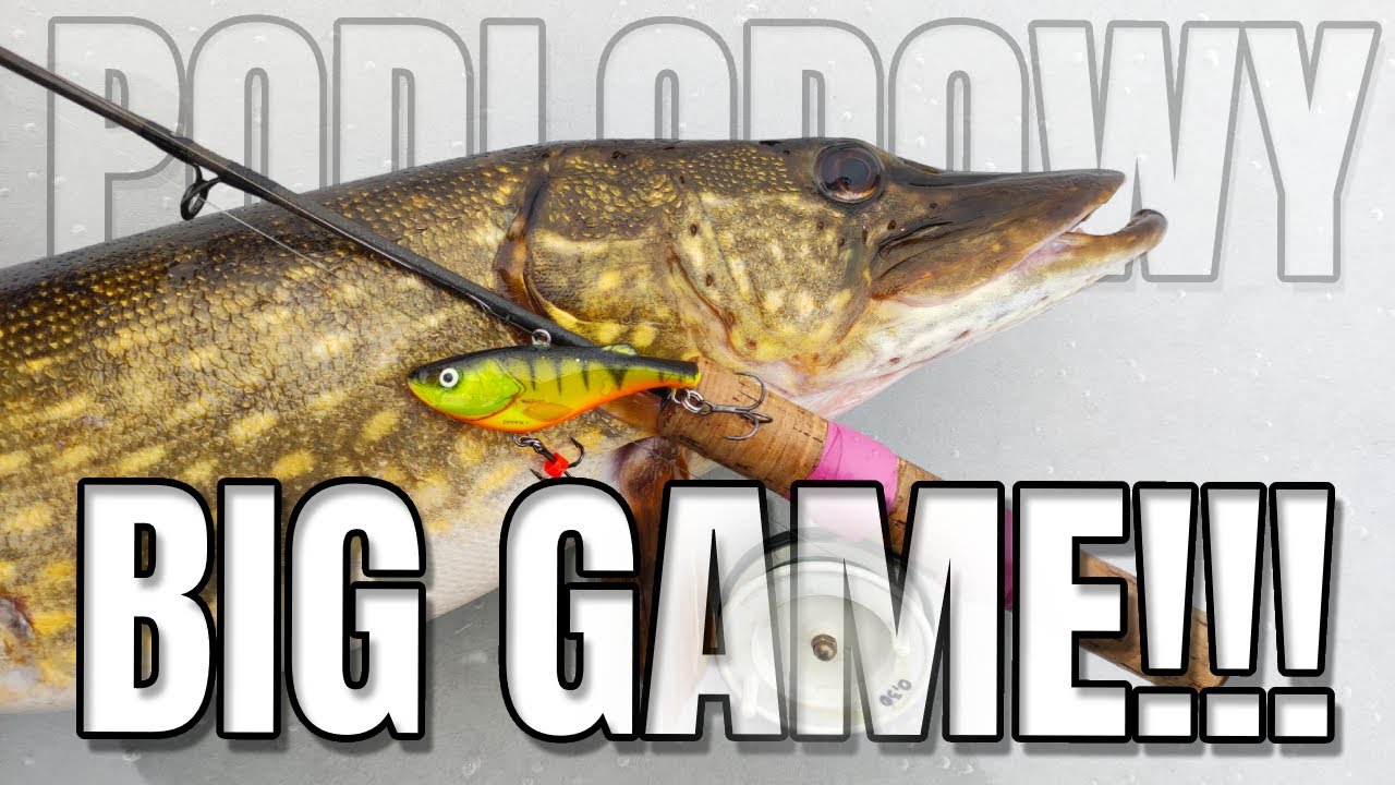 PODLODOWY BIG GAME !!! Kij TRZESZCZAŁ !!! SZCZUPAKI SPOD LODU na VIBY !!!