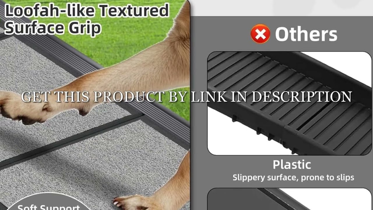 No More Barking! 🐶 Ultimate Anti-Bark Solution for Your Dog
