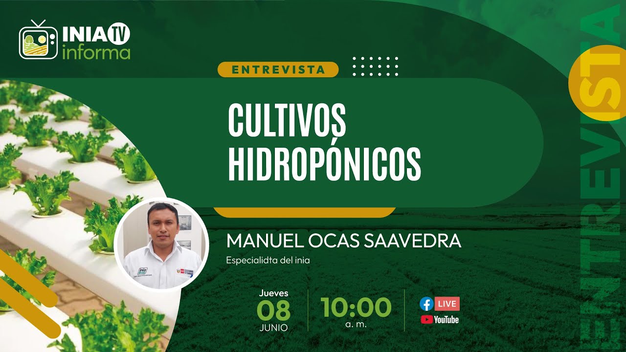 Cultivos Hidropónicos