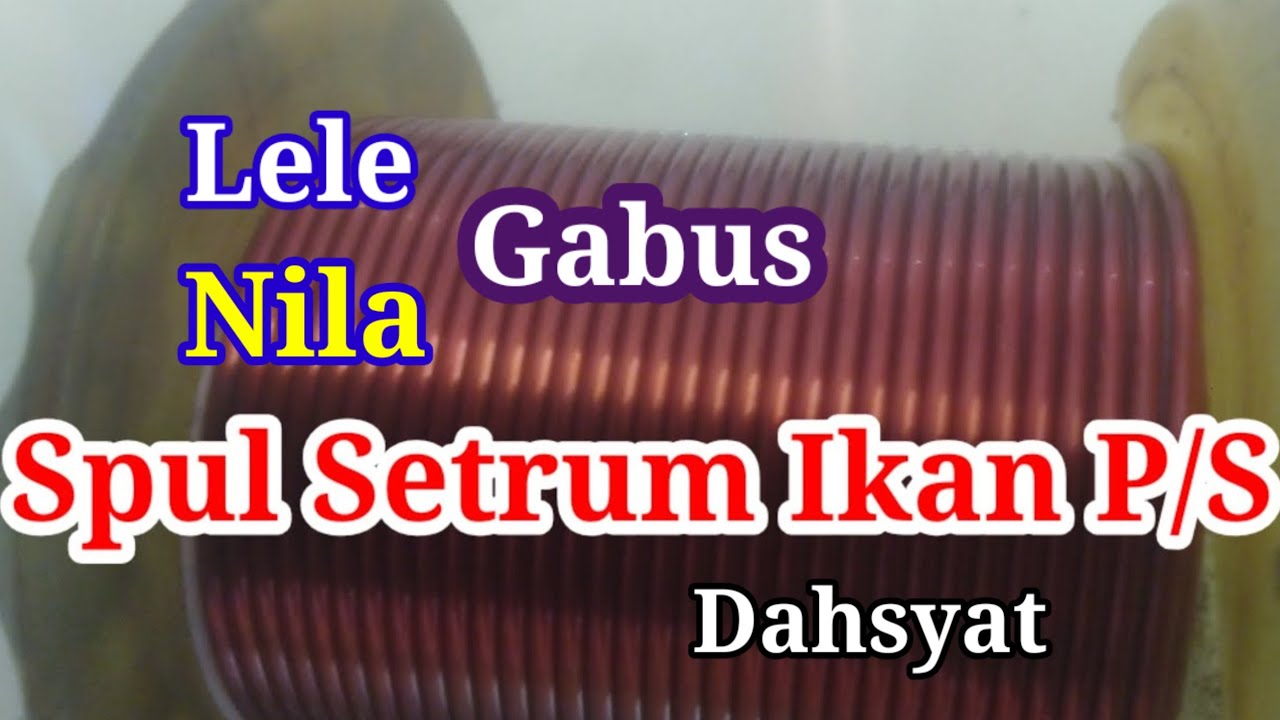 Cara Gulung Spul Setrum Ikan Nila Super Dahsyat Type P/S
