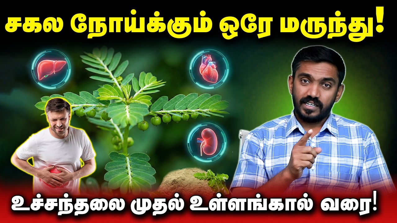ஒரே இலை பல நோய்களுக்கு மருந்து Keelanelli medical benefits | #drsj