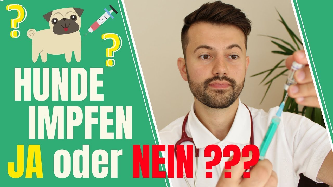 Hunde impfen - JA oder NEIN??? | Plus: optimales Impfschemata für Hunde