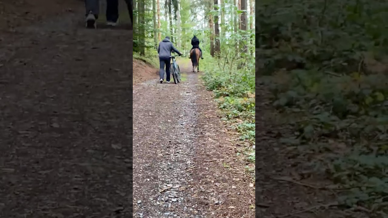 Frau mit Pferd Wanderpfad Tharandter Wald Sachsen - Woman with Horse Hiking Trail Saxony