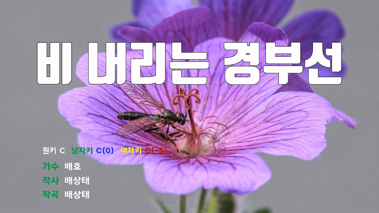 [은성 반주기] 비내리는경부선 - 배호