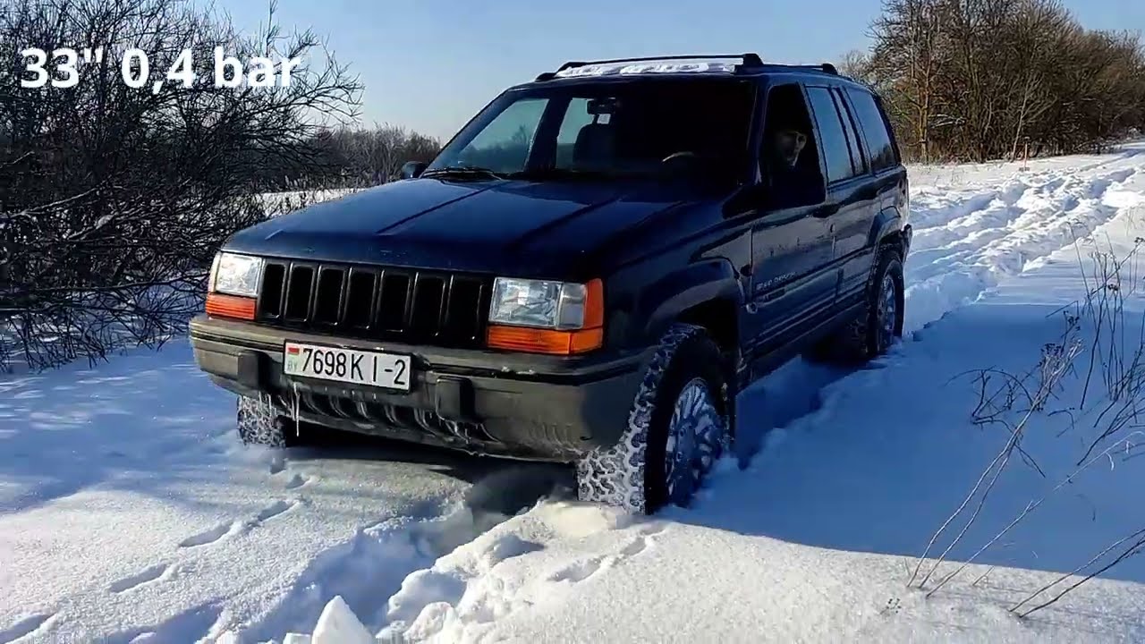 Зимний лес 2026