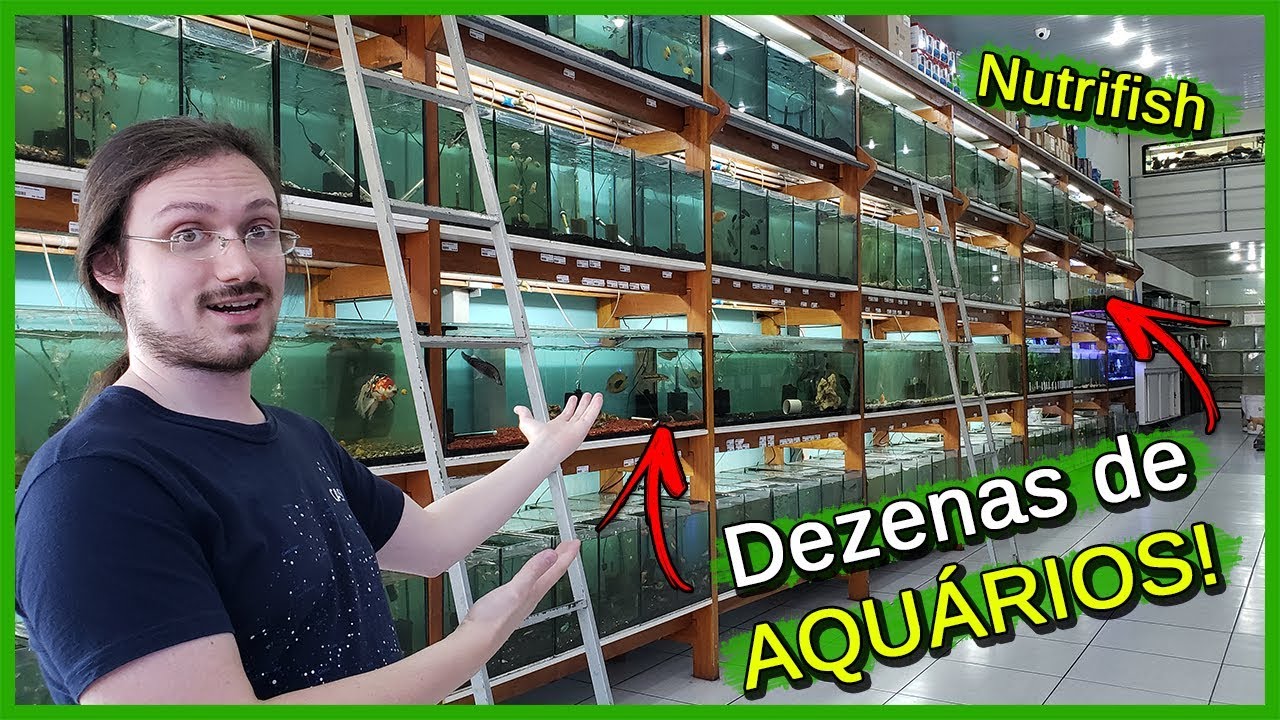 Visitei uma Loja de AQUARISMO! - Nutrifish