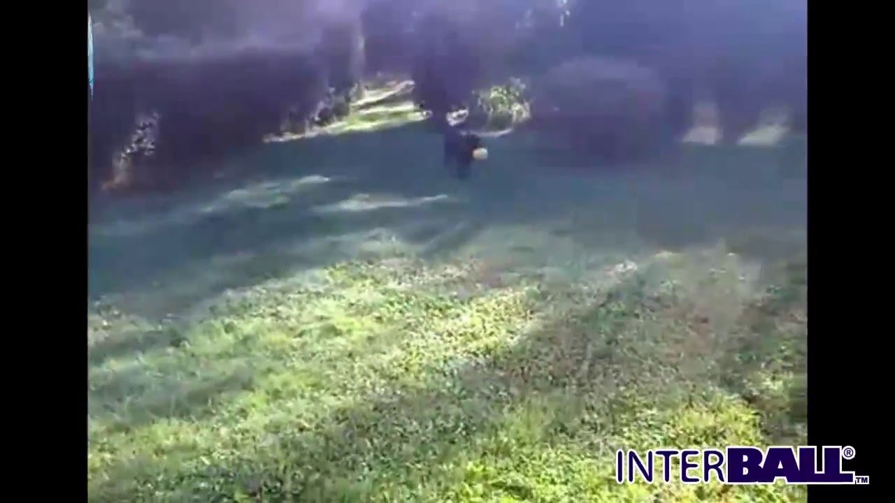 INTERBALL - Interactive Dog Toy