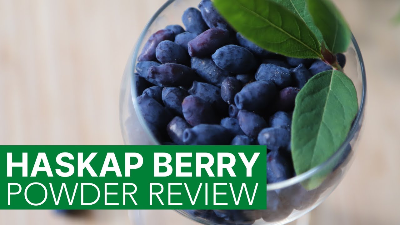 Dietitian Reviews ANTIOXIDANT Superfood: Haskap Berry Powder
