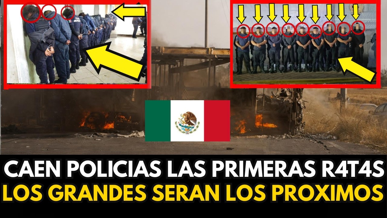 policías que operaban para el CJNG caen estas LACR4S. HARFUCH irá por todos los involucrados