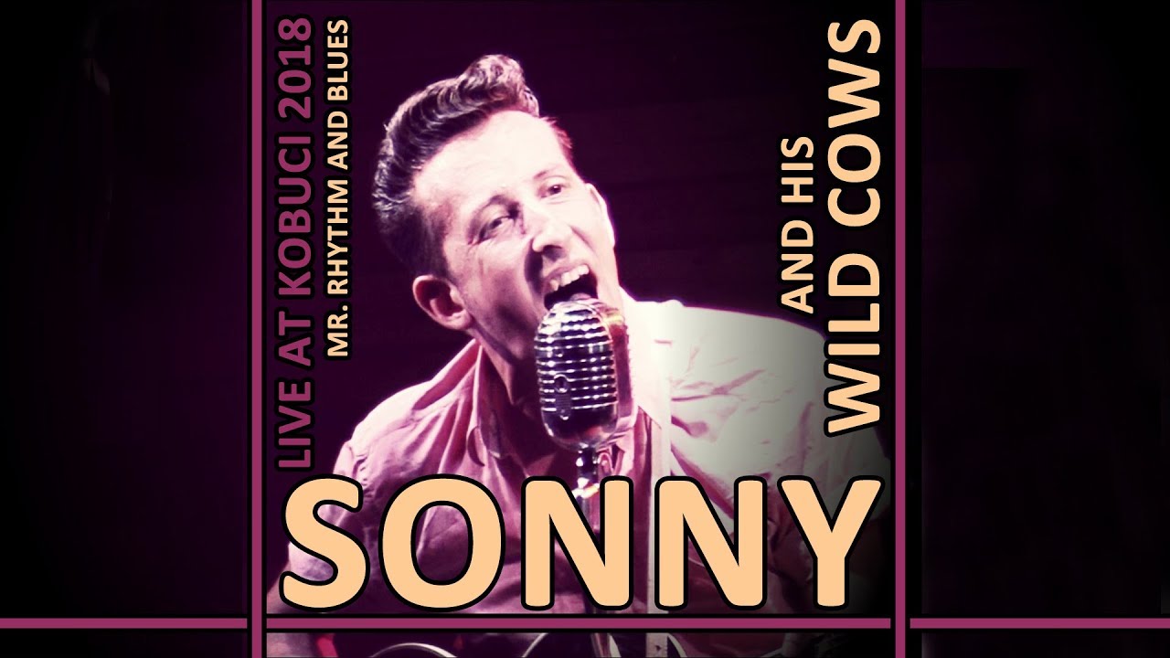 SONNY AND HIS WILD COWS | ROCKABILLY SHOW | KOBUCI | 2018