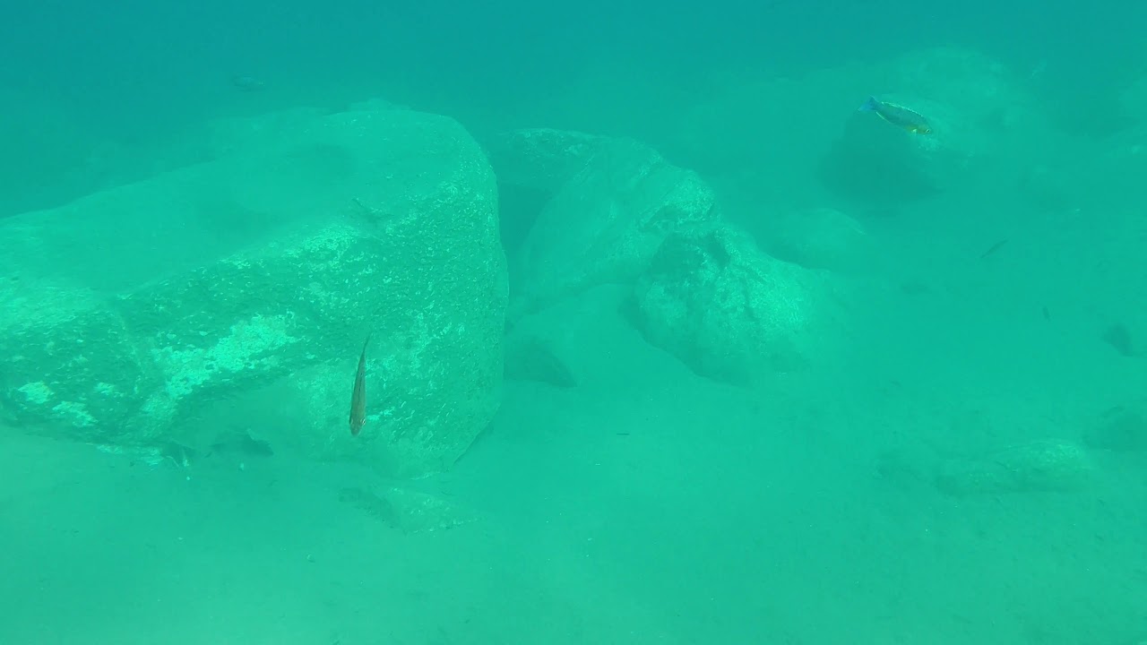 TANGANYIKA GÖLÜNDEYİM (3. KISIM)
