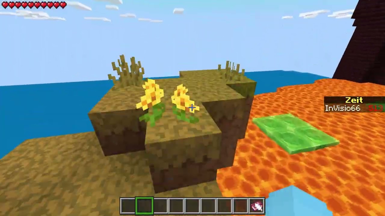 BIN ICH MINECRAFT PRO...