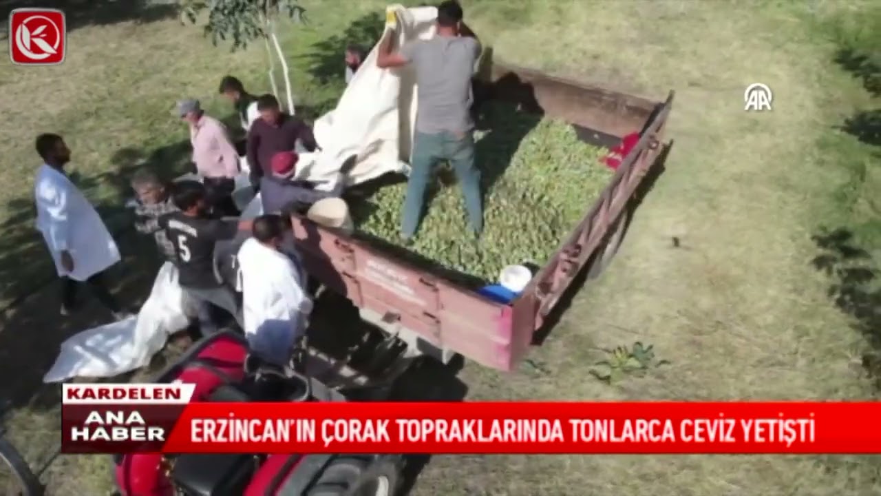 Erzincan Kemahlı Sn. Recep Peker ve Ceviz Ağaçları Projesi