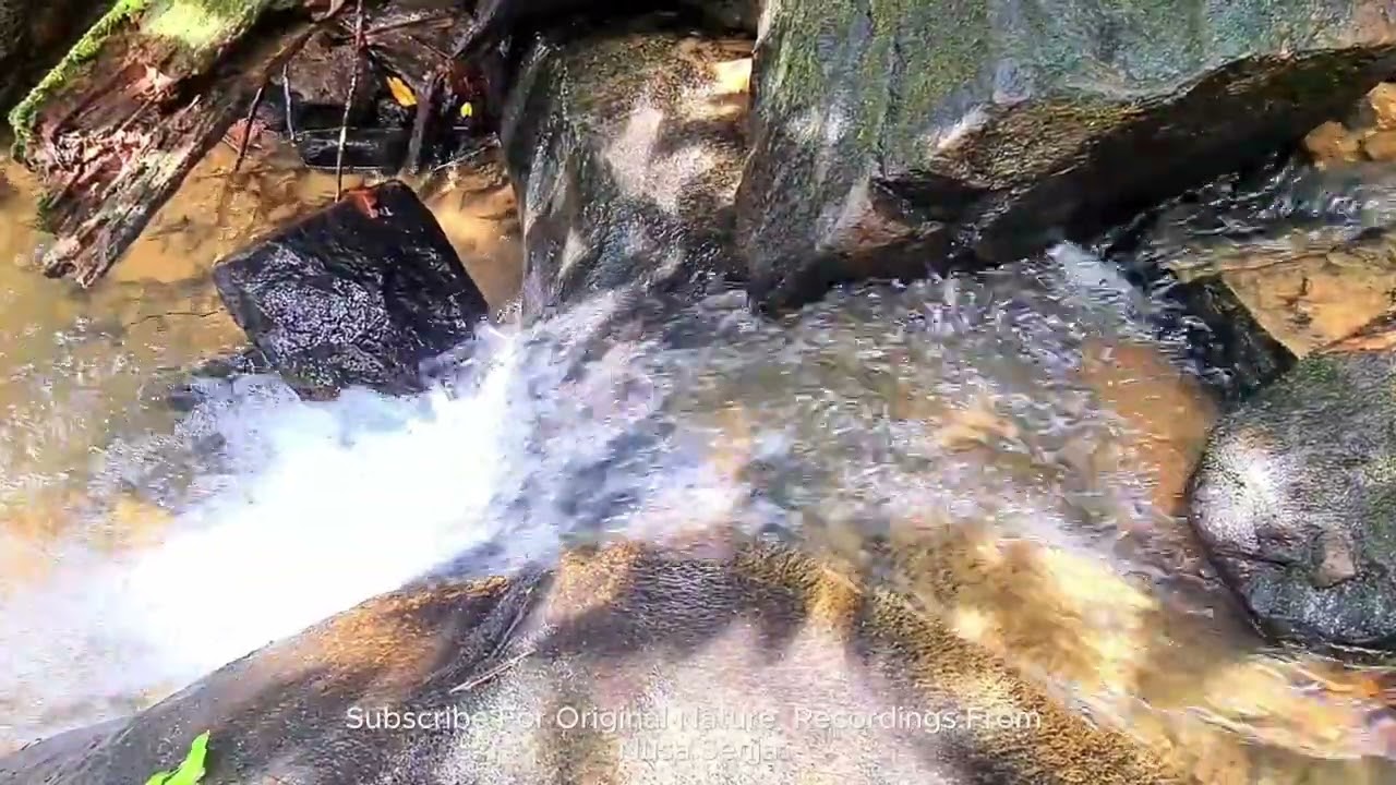 Pure Forest Stream Flowing Over Rocks | Original Nature Sounds for Deep Relaxation