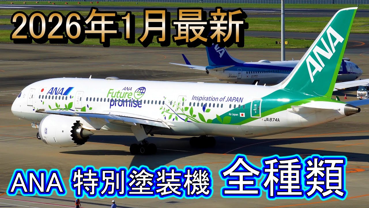 【ANA】全日空の特別塗装機を全種類紹介！