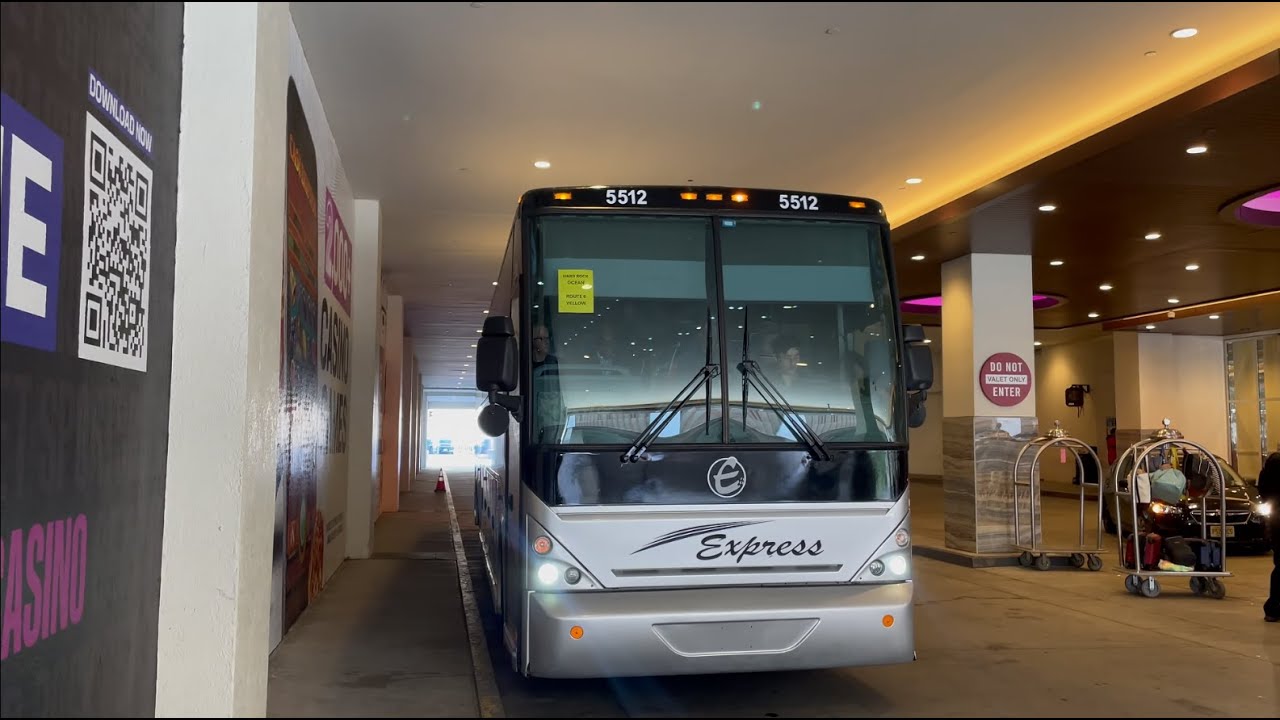 New Jersey Transit & Academy Bus: Rush Hour Bus Action Around Atlantic City