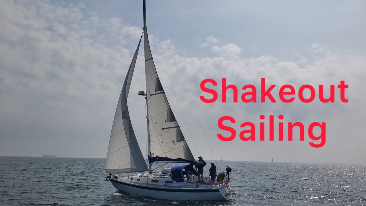Shake out 2024 - The great escape