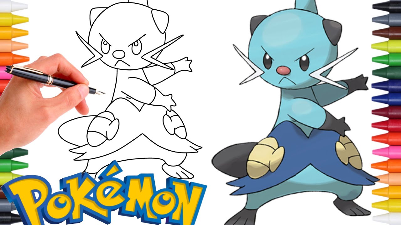 Comment Dessiner LE POKÉMON MATELOUTRE (Dewott) #502 | Génération 5