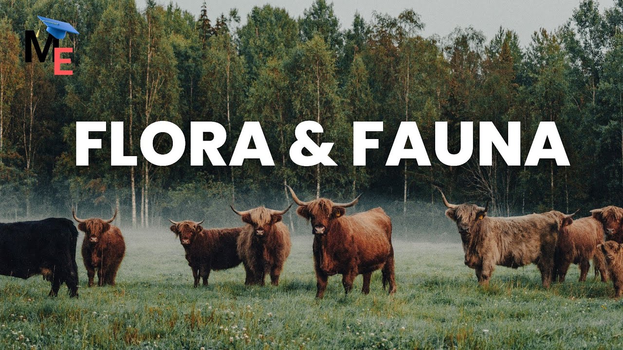 Flora Fauna Itu Nggak Sembarangan Nyebar! Ini Alasannya! - Geografi