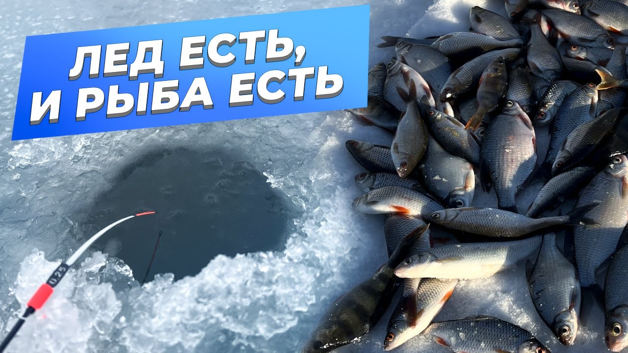 Попал в ЯМЕ на раздачу ГУСТЕРЫ! ЩУКА на жерлицы. Крутая рыбалка на малой реке в хорошей компании.