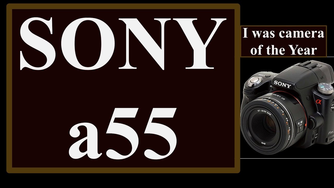 SONY a55 SLT | Camera of The Year Review Photography Class 420