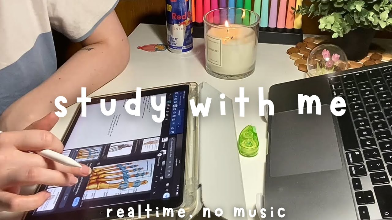 Study With Me 🌙 | 5 hours - pomodoro 50/10 | deep focus session | anatomy study