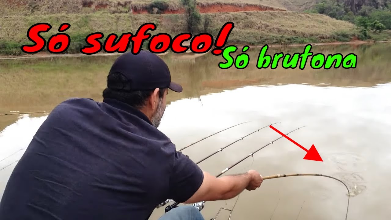 TILÁPIAS SELVAGENS NA TELESCÓPICA! O peixe escolhe sempre a mesma vara. pt1