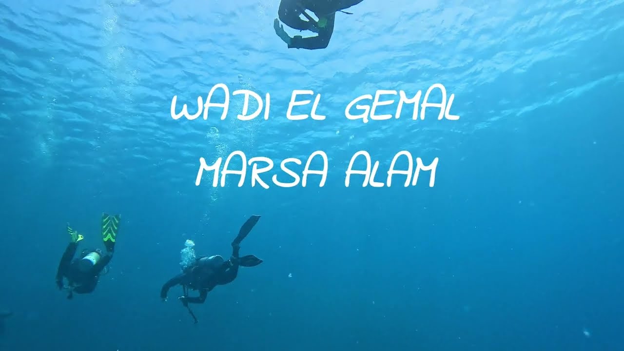 Wadi el gemal - Maesa Alam - Egitto - TGI Diving - Giugno 2025