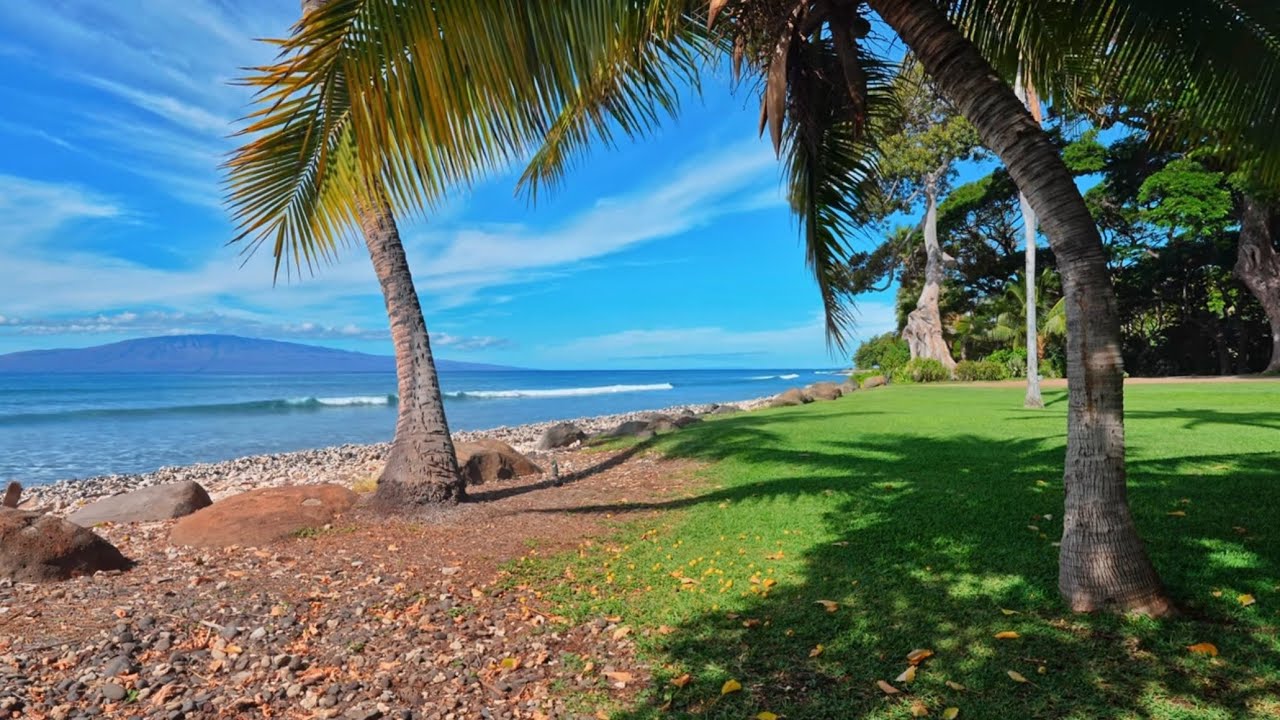 The Most Relaxing Nature | Hawaii Oceanfront Ambience