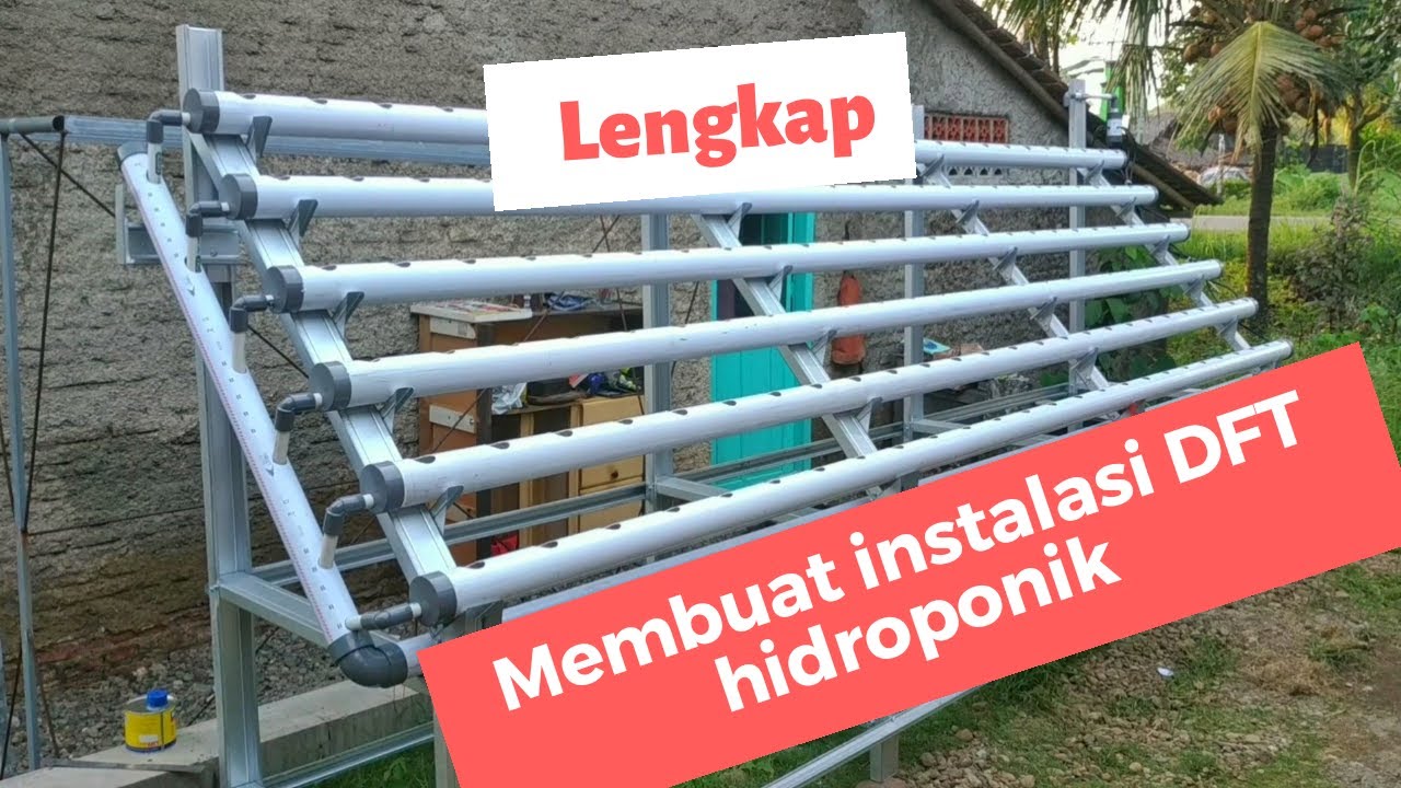 Cara membuat instalasi hidroponik sistem dft menggunakan pipa pvc 2 5 inchi