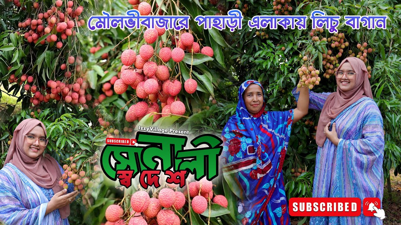 Amazing Village Lychee Farm in Bangladesh | Sunali Sodesh Ep 06 | সুনালী স্বদেশ