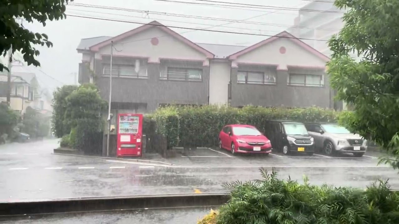 Extended Japan Violent Thunderstorm Rain Walk 2025.08.08 ASMR Ambience Sound Sleep Meditate Tokyo