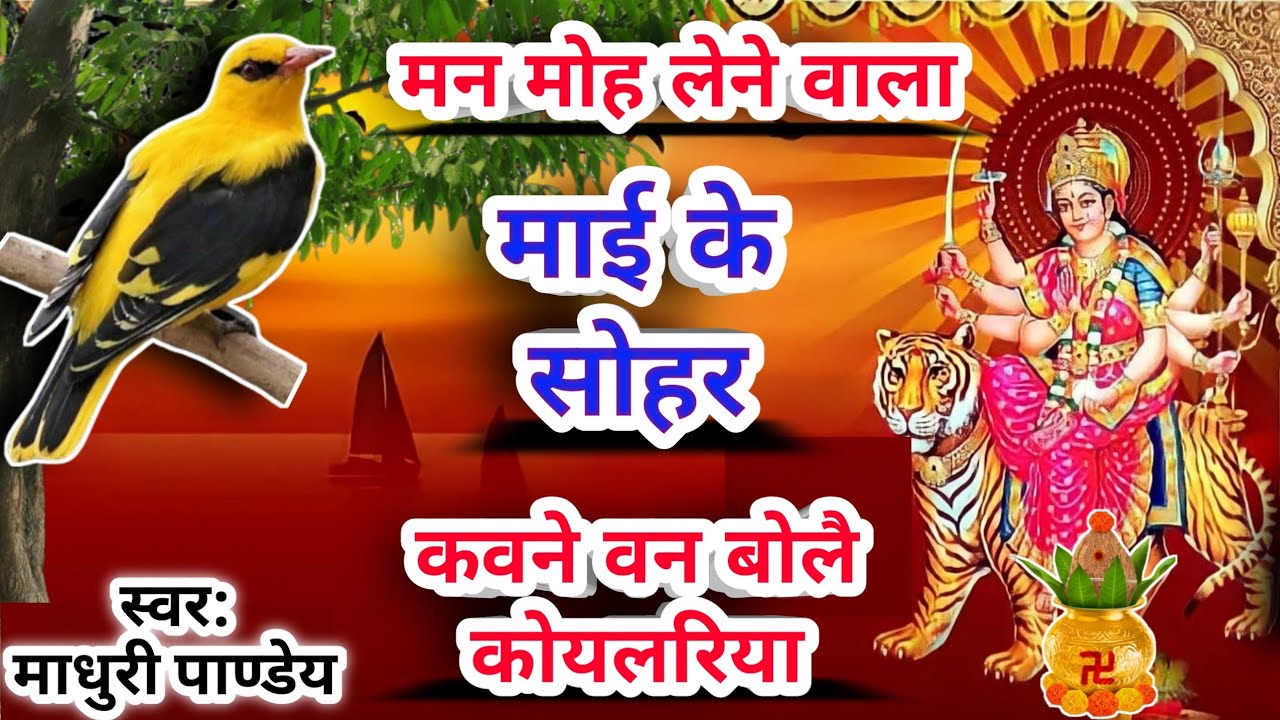 #Videoदेवी पचरा गीत-Devi pachra|कवने वन बोलै|Pachrageet|नवरात्रिस्पेशल #devisohar देवीसोहर