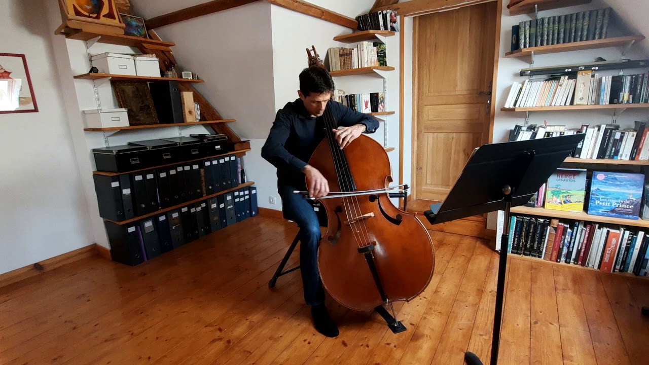 Playlist de confinement : Mathieu Petit, contrebasse solo &agrave; l'Orchestre National de Lille