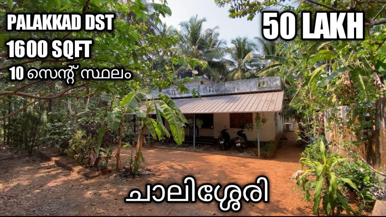 House forsale chalissery | ചാലിശ്ശേരി സെന്ററിൽ ഈ വിലക്ക് വീടും സ്ഥലവും?😍|#kerala #palakkad