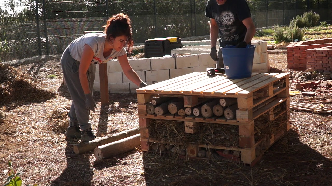 Montaje de hotel de insectos para el fomento de la biodiversidad en huertos ecológicos