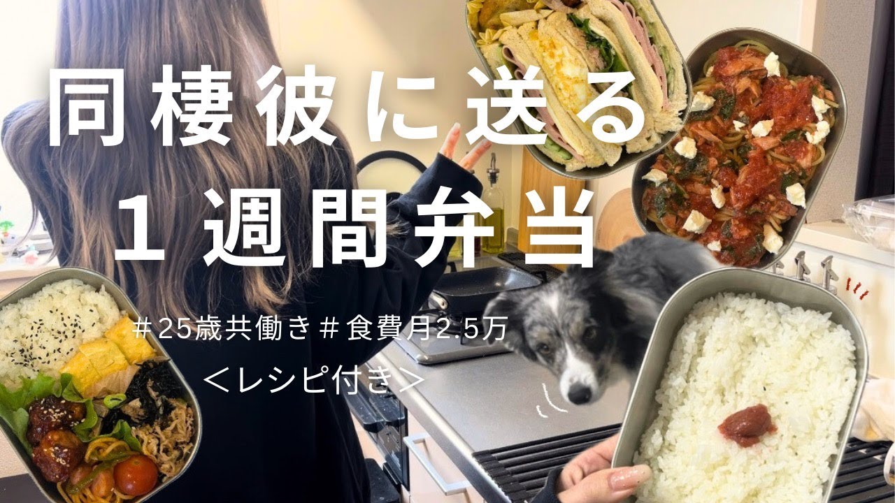 【食費月2.5万】真似するだけ簡単毎日お弁当/レシピ付き