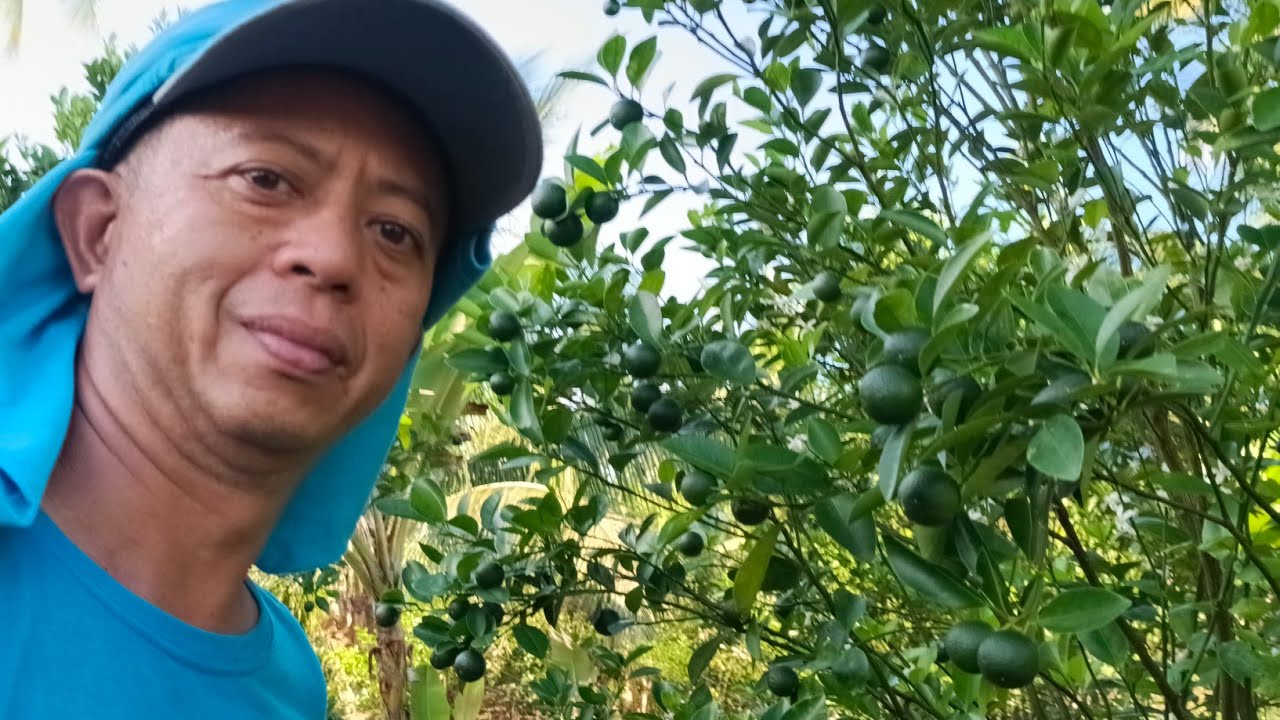 Pruning ng Buhay 
