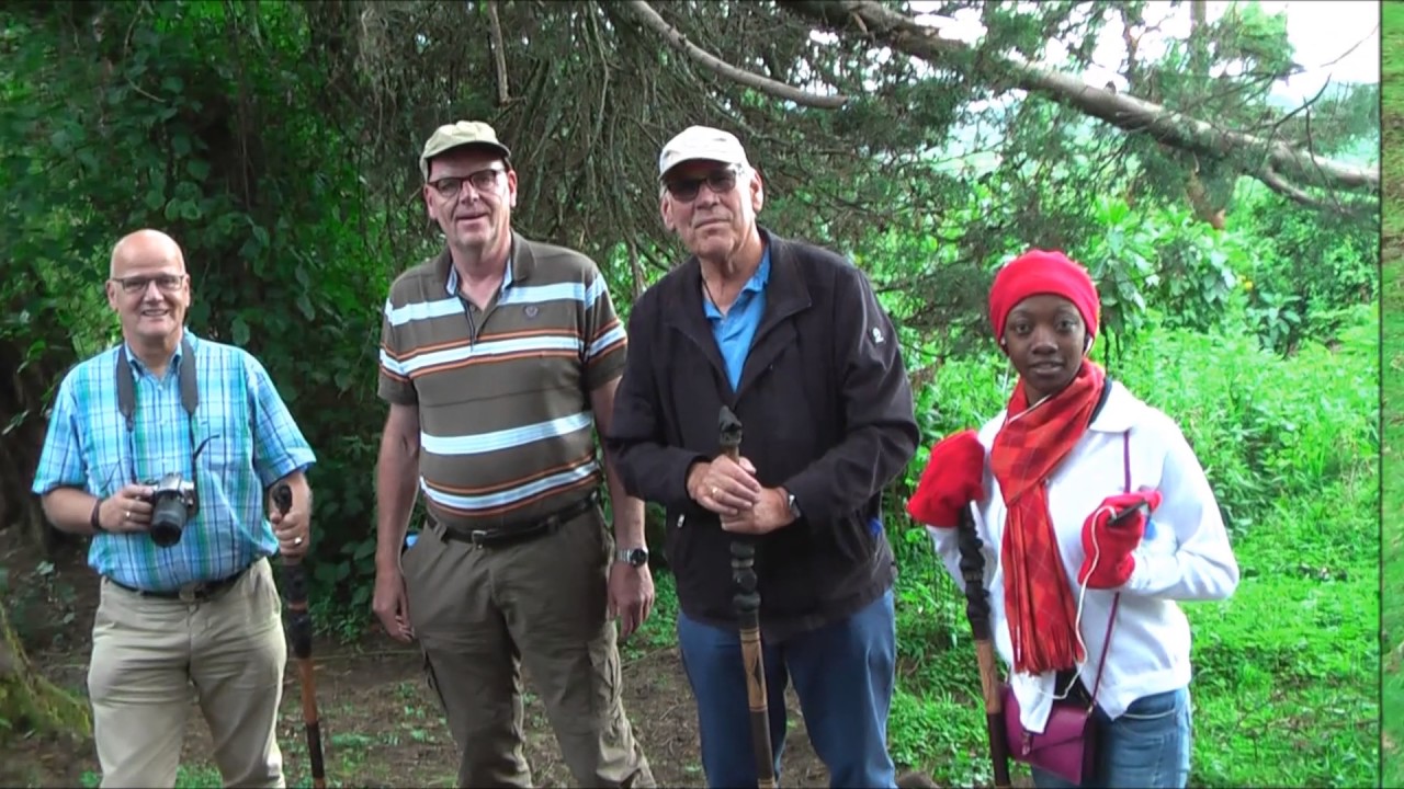 Berggorilla bezoek Virunga National Park Rwanda  2016