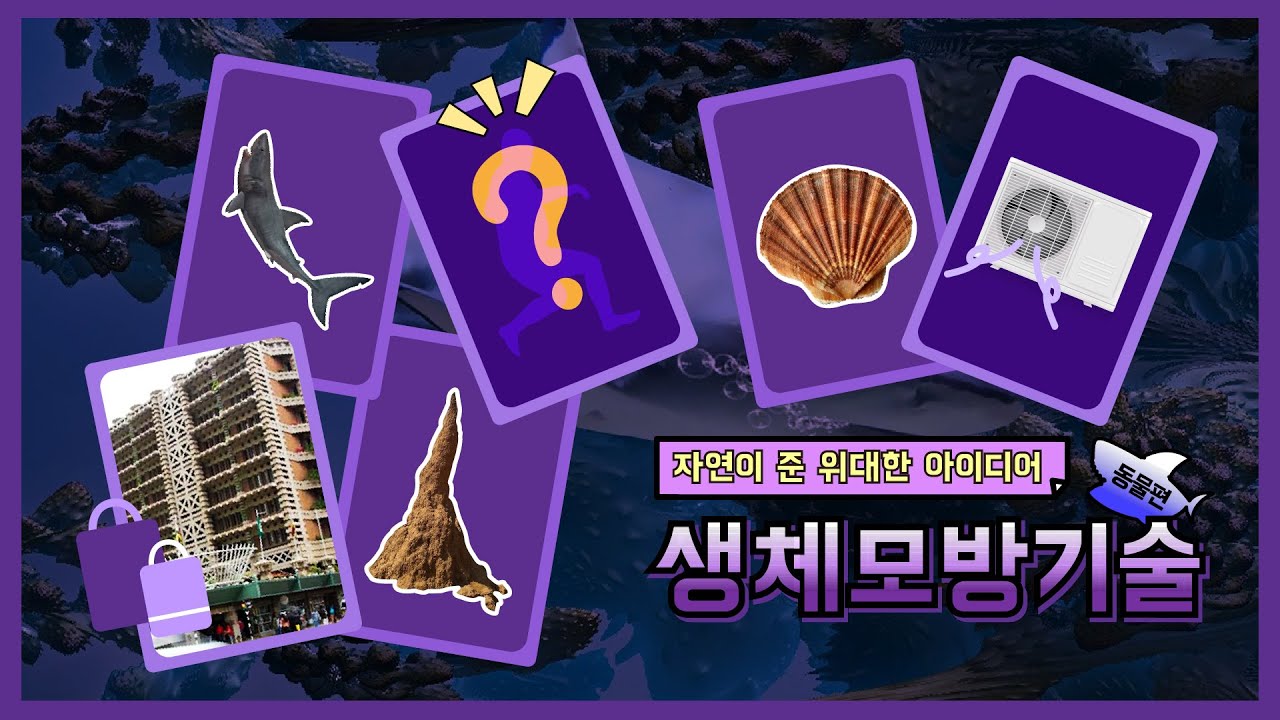 [교육]자연이 준 위대한 아이디어 생체모방기술 동물편