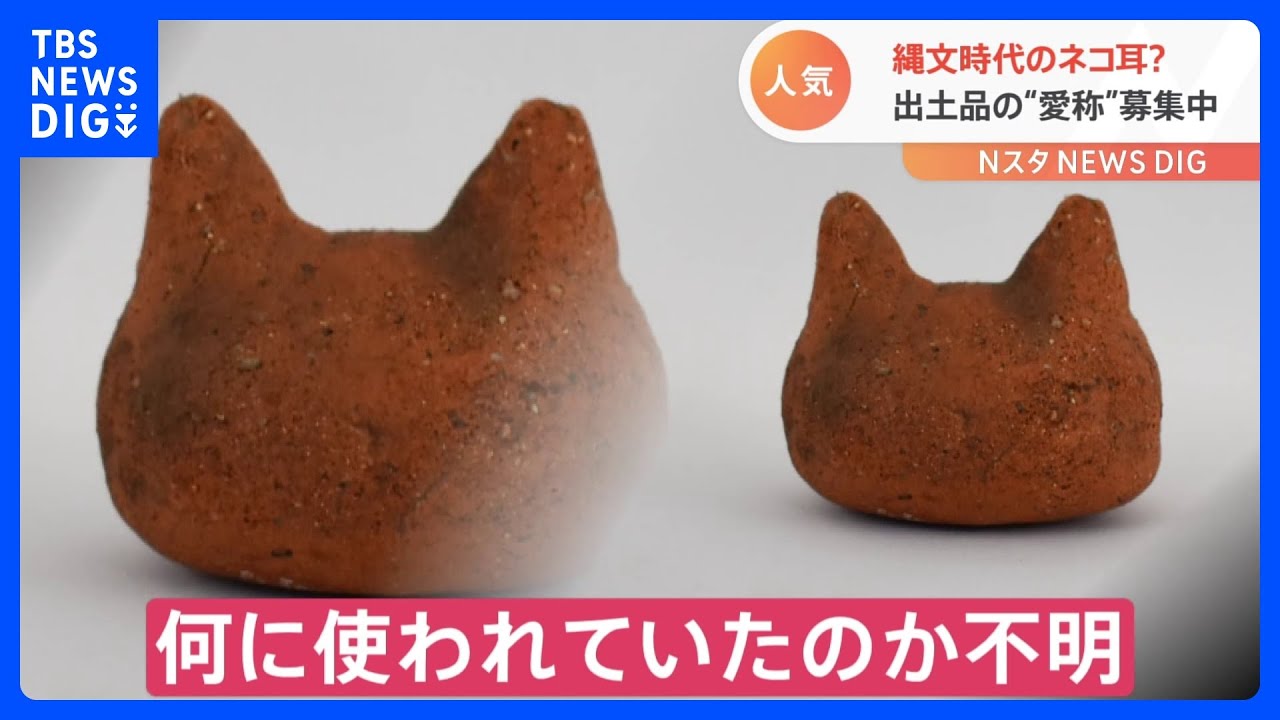 何に見える？ 縄文時代の遺跡から“謎の出土品”　愛称を募集中です｜TBS NEWS DIG