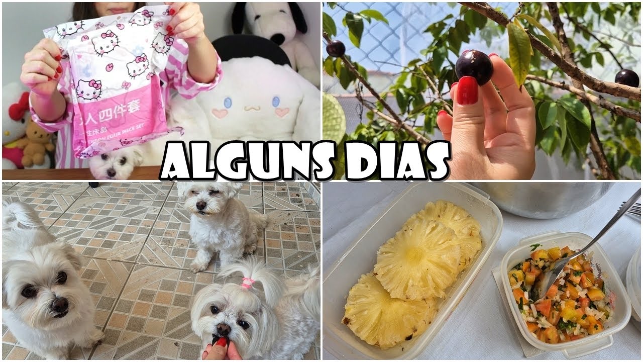 Lençol Descartável? Compras Aliexpress, Colhi Jabuticaba, Bicho Na Pitangueira, Vários Dias Comigo