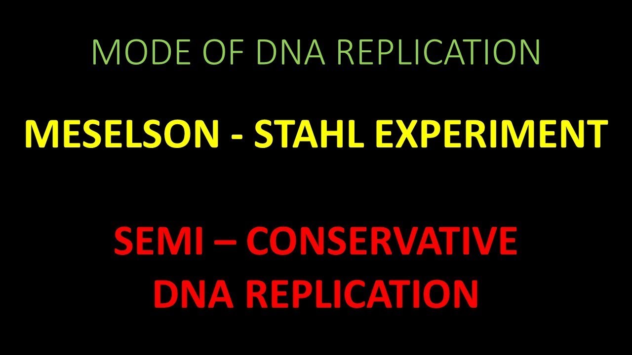 Semi Conservative DNA Replication and experimental proof given by Meselson and Stahl