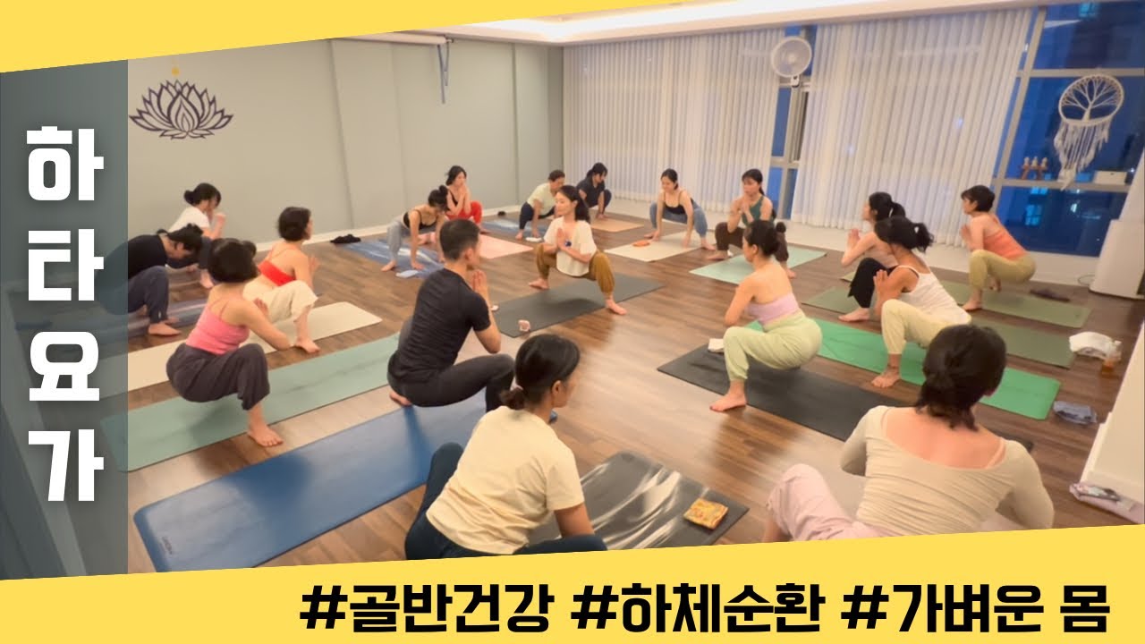 [엔젤요가] 골반순환에 좋은 요가 | 하타요가맛집