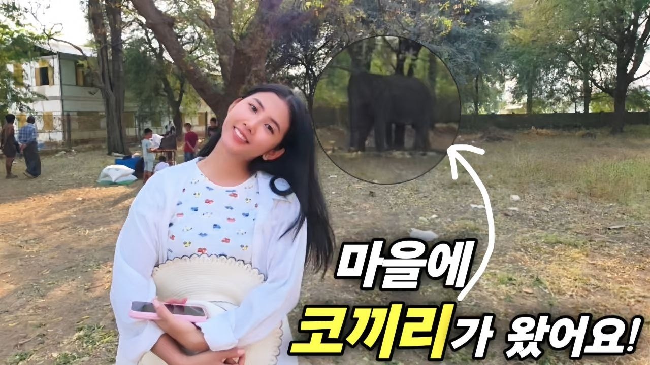 마을에 코끼리가 왔어요! - 동물원에 가본 적이 없는 미얀마 시골 아이들에겐 오늘이 가장 신기한 날입니다 [한국 남자 미얀마 여자 국제 결혼 커플의 일상]
