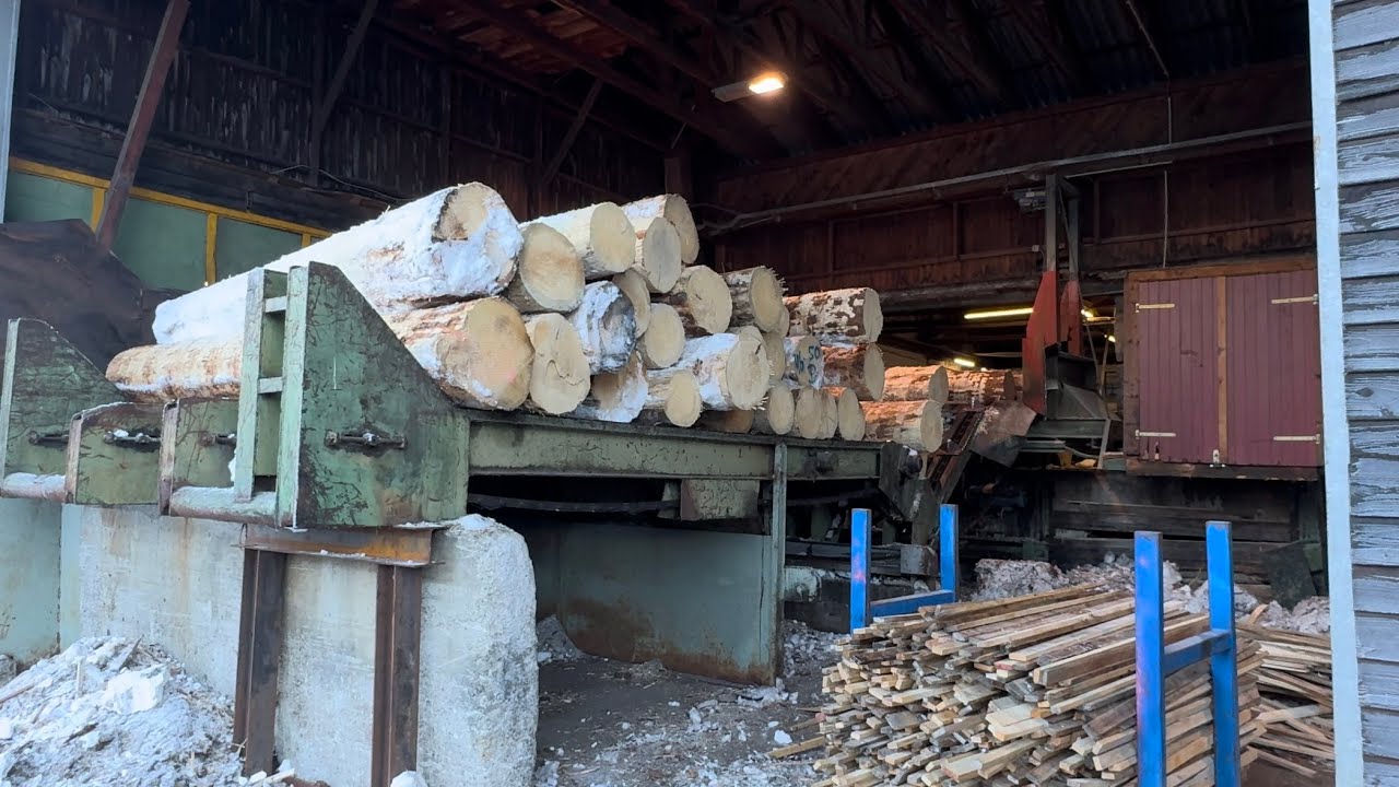 Gattersägewerk / Sawmill Esterer EWD Springer Microtec BNK DK90TL Combimes