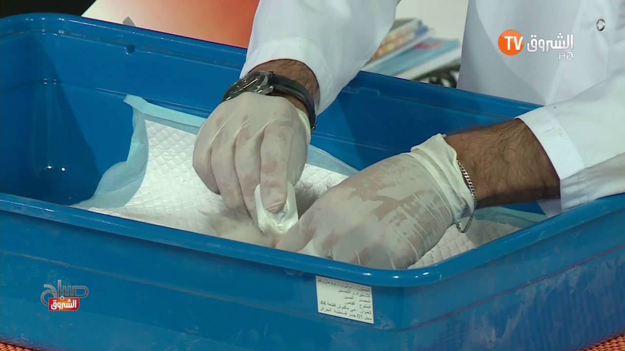 Dr KHERRATI YOUCEF sujet sur la vaccination anti rabique ( la rage) des chats