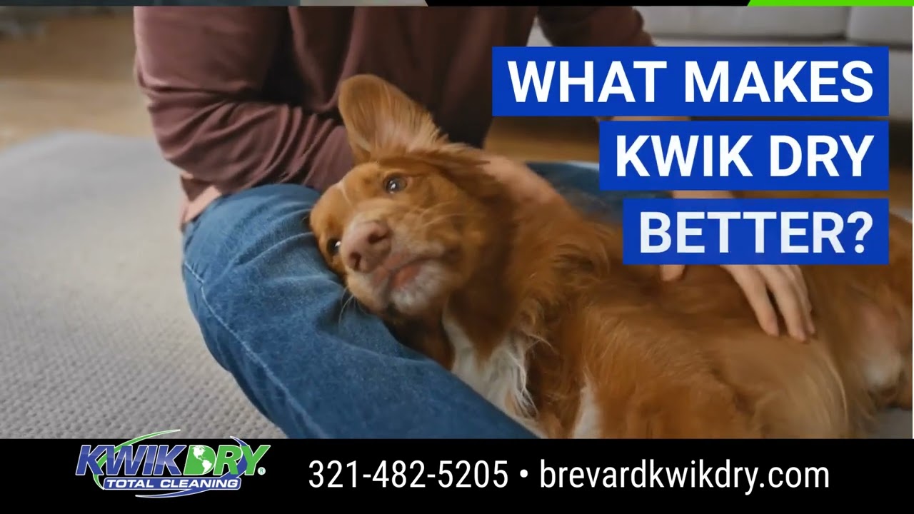 Brevard Kwik Dry Total Cleaning - Our Services - Savings Safari Video
